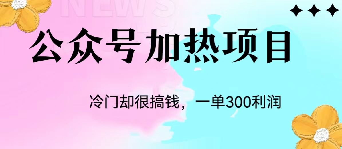 冷门公众号加热项目，每天1-2小时，一单100-300+网赚项目-副业赚钱-互联网创业-资源整合网创云库
