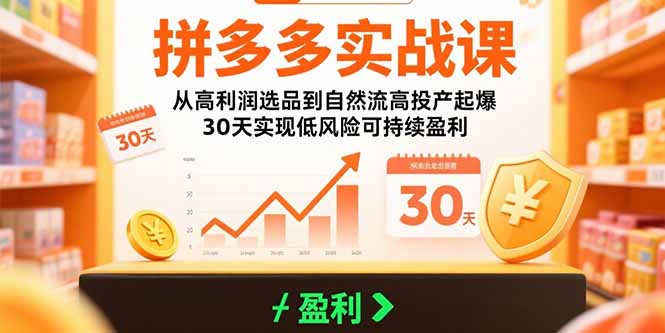 （15586期）拼多多实战课：从高利润选品到自然流高投产起爆 30天实现低风险可持续盈利网赚项目-副业赚钱-互联网创业-资源整合网创云库