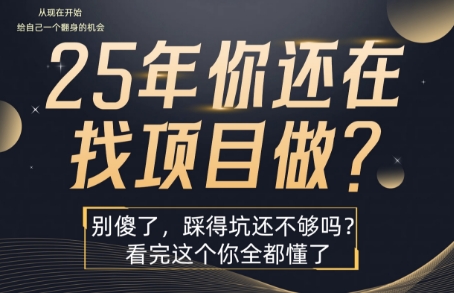 25年，你还在疯狂的找项目吗？别傻了，看完这个你都懂了网赚项目-副业赚钱-互联网创业-资源整合网创云库