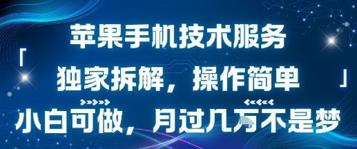 苹果手机技术服务，独家拆解，操作简单，小白可做，月过1W不是梦网赚项目-副业赚钱-互联网创业-资源整合网创云库
