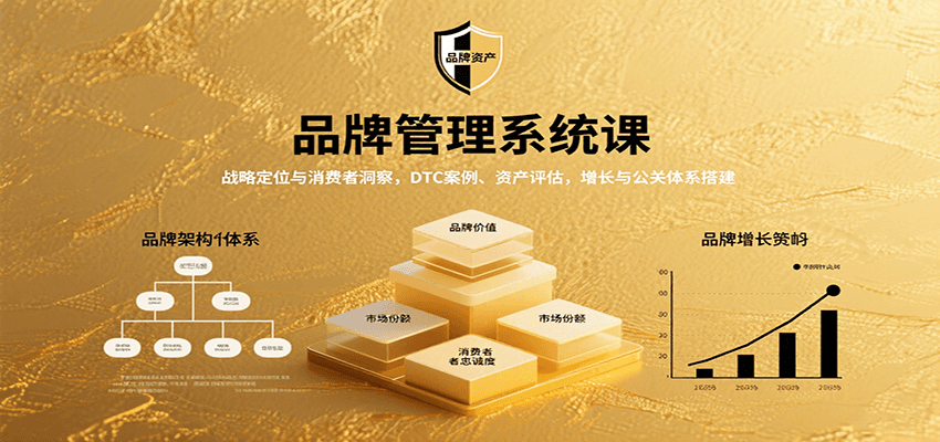 品牌管理系统课：战略定位与消费者洞察，DTC案例、资产评估，增长与公关体系搭建网赚项目-副业赚钱-互联网创业-资源整合网创云库