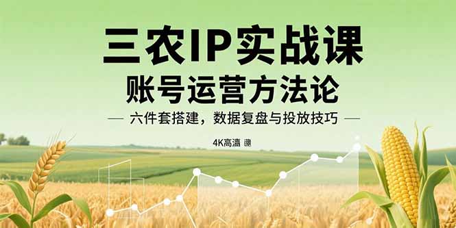 （15864期）三农IP实战课：账号运营方法论，六件套搭建，数据复盘与投放技巧网赚项目-副业赚钱-互联网创业-资源整合网创云库