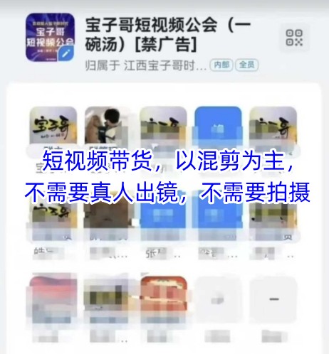 宝子哥头部团队短视频带货，以混剪为主，不需要真人出镜，不需要拍摄【更新8月】网赚项目-副业赚钱-互联网创业-资源整合网创云库