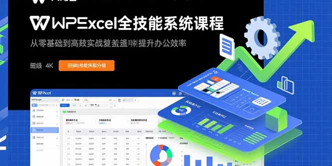 （15873期）WPS Excel全技能系统课程：从零基础到高阶实战全覆盖，全面提升办公效率网赚项目-副业赚钱-互联网创业-资源整合网创云库