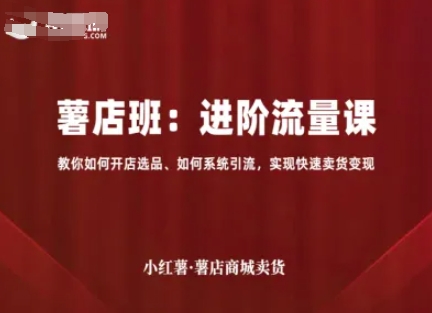 小红薯薯店商城卖货，进阶流量课，教你如何开店选品、如何系统引流，实现快速卖货变现网赚项目-副业赚钱-互联网创业-资源整合网创云库