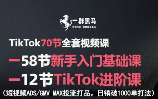 TikTok全套视频课，新手入门+进阶课，短视频ADS-GMV MAX投流打品，日销破1000单打法网赚项目-副业赚钱-互联网创业-资源整合网创云库