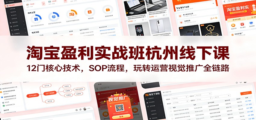 淘宝盈利实战班杭州线下课：12门核心技术，SOP 流程，玩转运营视觉推广全链路网赚项目-副业赚钱-互联网创业-资源整合网创云库