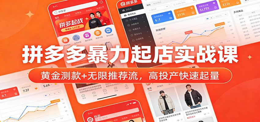 拼多多暴力起店实战课：黄金测款+无限推荐流，高投产快速起量网赚项目-副业赚钱-互联网创业-资源整合网创云库