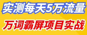 百度万词霸屏实操项目引流课，30天霸屏10万关键词网赚项目-副业赚钱-互联网创业-资源整合网创云库