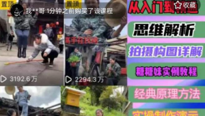 东方糖糖妹抖音短视频全套实战课思维+拍摄+剪辑+运营，从入门到精通网赚项目-副业赚钱-互联网创业-资源整合网创云库