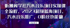 听潮阁学社汽水音乐项目实操课全流程，2023超级蓝海项目，汽水音乐推广，0粉丝也能做！网赚项目-副业赚钱-互联网创业-资源整合网创云库