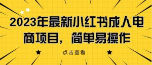 2023年最新小红书成人电商项目，简单易操作【详细教程】网赚项目-副业赚钱-互联网创业-资源整合网创云库