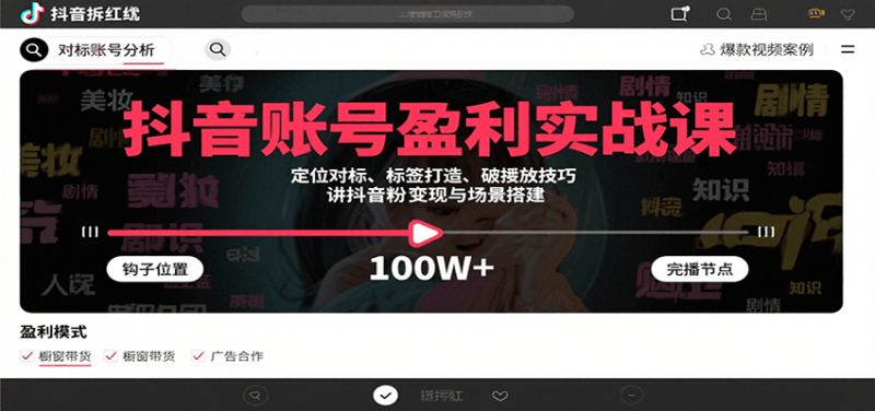 抖音账号盈利实战课，定位对标、标签打造、破播放技巧，讲涨粉变现与场景搭建网赚项目-副业赚钱-互联网创业-资源整合网创云库