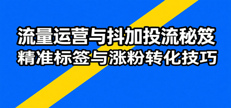 流量运营与抖加投流秘笈，含算法解析、爆款打造、精准标签与涨粉转化技巧网赚项目-副业赚钱-互联网创业-资源整合网创云库