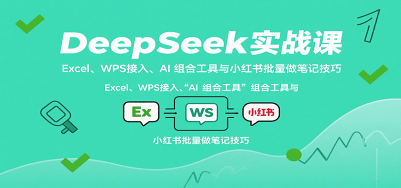 DeepSeek实战课：Excel、WPS接入、AI 组合工具与小红书批量做笔记技巧网赚项目-副业赚钱-互联网创业-资源整合网创云库