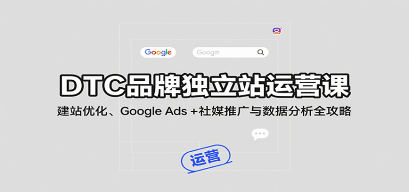 DTC品牌独立站运营课：建站优化、Google Ads + 社媒推广与数据分析全攻略网赚项目-副业赚钱-互联网创业-资源整合网创云库