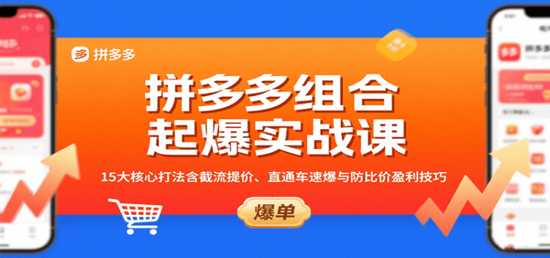 拼多多组合起爆实战课：15大核心打法含截流提价、直通车速爆与防比价盈利技巧网赚项目-副业赚钱-互联网创业-资源整合网创云库