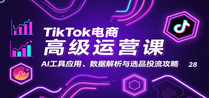 TikTok电商高级运营课：AI工具应用、数据解析与选品投流攻略网赚项目-副业赚钱-互联网创业-资源整合网创云库