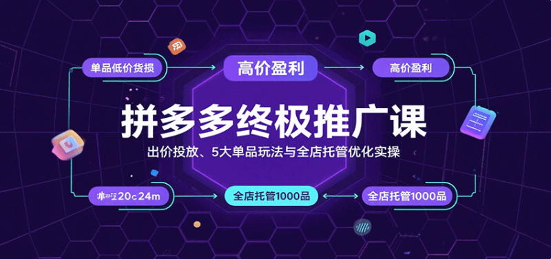 拼多多终极推广课：出价投放、5大单品玩法与全店托管优化实操网赚项目-副业赚钱-互联网创业-资源整合网创云库