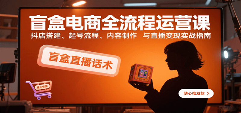 盲盒电商全流程运营课：抖店搭建、起号流程、内容制作与直播变现实战指南网赚项目-副业赚钱-互联网创业-资源整合网创云库