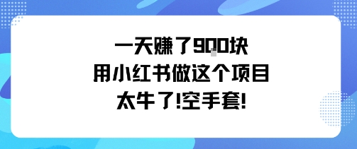 一天挣了9张用小红书做这个项目太牛了，空手套网赚项目-副业赚钱-互联网创业-资源整合网创云库