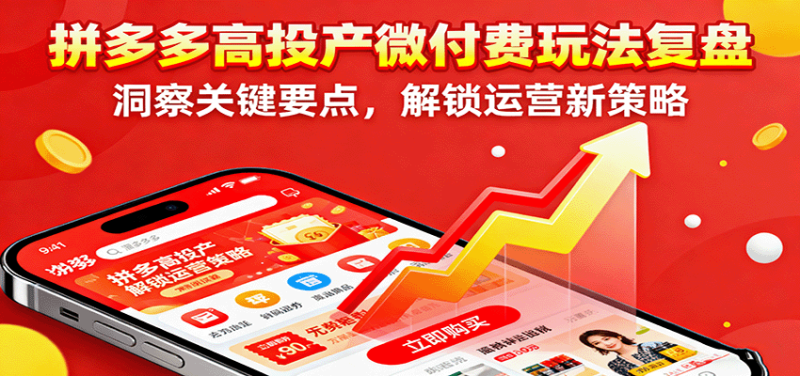 拼多多高投产微付费玩法复盘，洞察关键要点，解锁运营新策略网赚项目-副业赚钱-互联网创业-资源整合网创云库