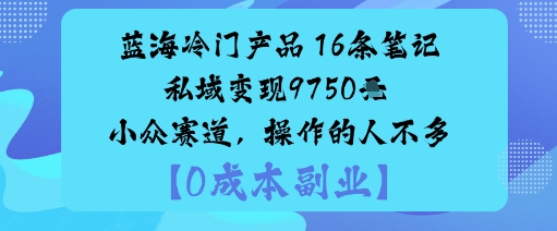 蓝海冷门产品：16条笔记私域变现9750米小众赛道，操作的人不多网赚项目-副业赚钱-互联网创业-资源整合网创云库