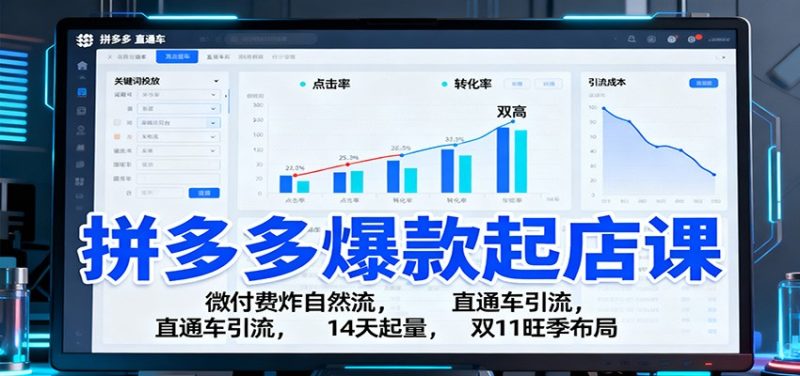 拼多多爆款起店课：微付费炸自然流，直通车引流，14天起量，双11旺季布局网赚项目-副业赚钱-互联网创业-资源整合网创云库