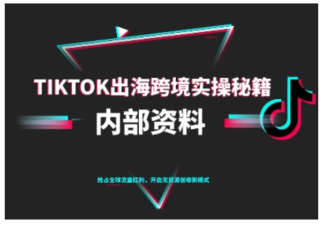 TikTok跨境电商0-1搭建运营，TK出海跨境实操秘籍（10月更新）网赚项目-副业赚钱-互联网创业-资源整合网创云库