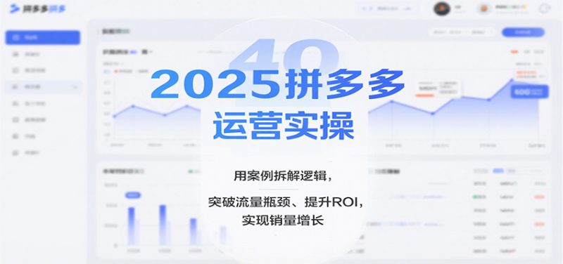 2025拼多多运营实操，用案例拆解逻辑，突破流量瓶颈、提升ROI，实现销量增长网赚项目-副业赚钱-互联网创业-资源整合网创云库