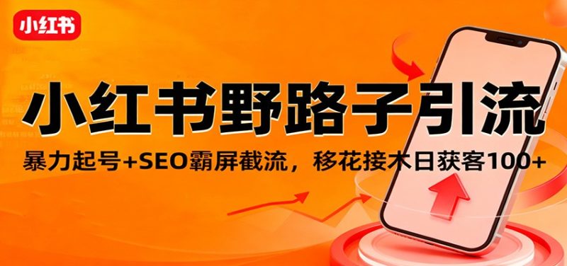 小红书野路子引流，暴力起号+SEO霸屏截流，移花接木日获客100+网赚项目-副业赚钱-互联网创业-资源整合网创云库