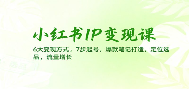 小红书IP变现课:6大变现方式,7步起号,爆款笔记打造,定位选品,流量增长网赚项目-副业赚钱-互联网创业-资源整合网创云库