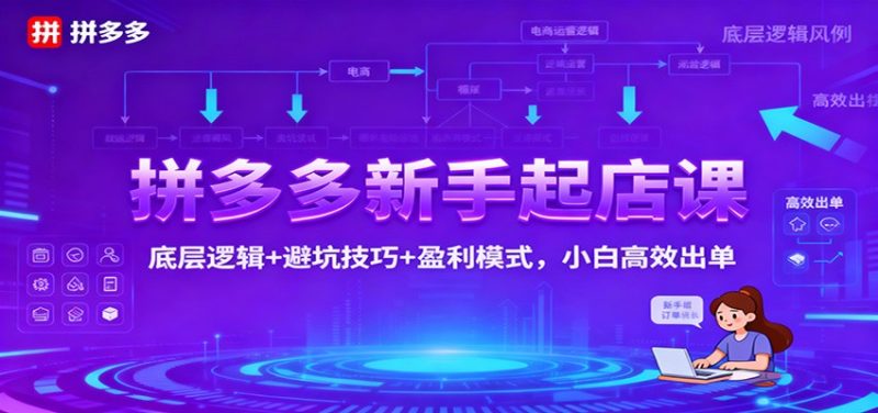 拼多多新手起店课：底层逻辑+避坑技巧+盈利模式，小白高效出单网赚项目-副业赚钱-互联网创业-资源整合网创云库