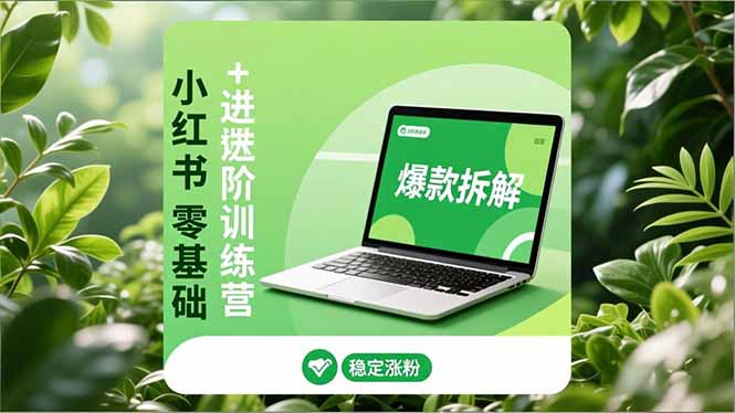 （16801期）小红书零基础+高阶训练营：安全养号、爆款拆解、长效运营，实现稳定涨粉与变现网赚项目-副业赚钱-互联网创业-资源整合网创云库