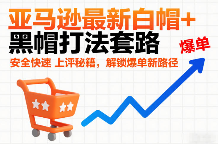 亚马逊最新白帽+黑帽打法套路，安全快速上评秘籍，解锁爆单新路径网赚项目-副业赚钱-互联网创业-资源整合网创云库