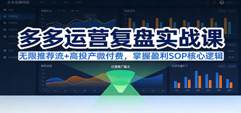 多多运营复盘实战课：无限推荐流+高投产微付费，掌握盈利SOP核心逻辑（更新）网赚项目-副业赚钱-互联网创业-资源整合网创云库