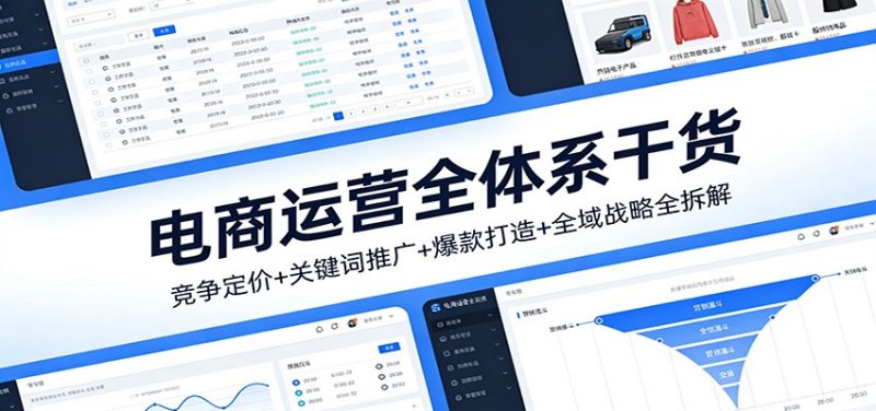 电商运营全体系干货，竞争定价+关键词推广+爆款打造+全域战略全拆解网赚项目-副业赚钱-互联网创业-资源整合网创云库