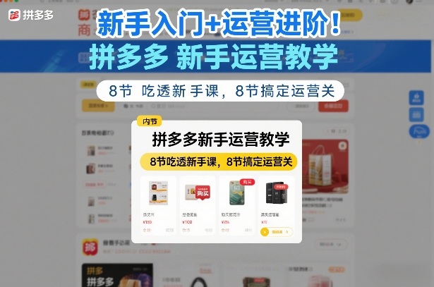 新手入门+运营进阶！拼多多新手运营教学，8节吃透新手课，8节搞定运营关网赚项目-副业赚钱-互联网创业-资源整合网创云库