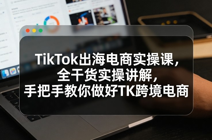 TikTok出海电商实操课，全干货实操讲解，手把手教你做好TK跨境电商网赚项目-副业赚钱-互联网创业-资源整合网创云库