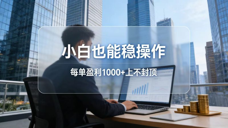 （17508期）2026新项目，小白也能稳操作，每单盈利1000+上不封顶网赚项目-副业赚钱-互联网创业-资源整合网创云库