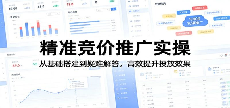精准竞价推广实操：从基础搭建到疑难解答，高效提升投放效果网赚项目-副业赚钱-互联网创业-资源整合网创云库