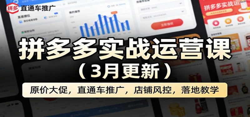 拼多多实战运营课（3月更新）：原价大促，直通车推广，店铺风控，落地教学网赚项目-副业赚钱-互联网创业-资源整合网创云库
